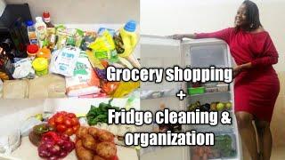 Vlog: GROCERY SHOPPING plus DEEP CLEANING AND ORGANIZING THE FRIDGE