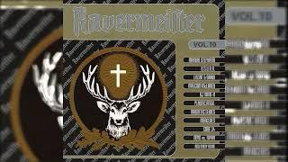 VA - Ravermeister Vol. 10 CD1+2(1998)[Full Album]