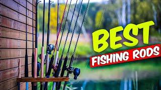 Best Fishing Rods For Beginners | How to Buy A Best Fishing Rods