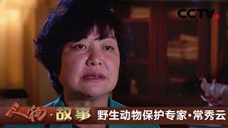 野生动物保护专家·常秀云 “朱鹮妈妈”探索出朱鹮科学的保护方式 20201106 |《人物·故事》CCTV科教