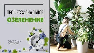 Профессиональное озеленение. Где заказывать услугу, чтобы растения не гибли в течение трех месяцев.