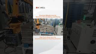 Precision Robotic Arm for Seamless Item Grabbing and Placing