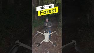 Entering the forest with a drone #djimini4pro #dji #drones