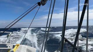 Le Journal Du Vendée Globe du Vendredi 27 Décembre : Duel au sommet entre Richomme et Dalin !