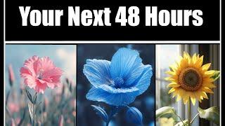 Your Next 48 Hours  Pick A Card Timeless Psychic Reading