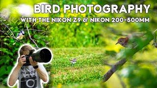 Bird Photography with the Nikon Z9 + Nikkor 200-500mm Lens (Nikon Z9 Vs. Z8)