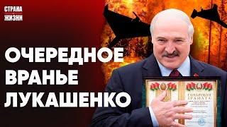 САМАЯ МАССИРОВАННАЯ АТАКА ДРОНОВ. Лукашенко вручили грамоты. Лесные пожары в Беларуси