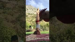 Funny Chicken Interrupts Woman's Yoga Session!