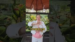 Зайди если одинока #чистки #энергетическоеочищение  #энергетическиепрактики #асмрвидео #асмр