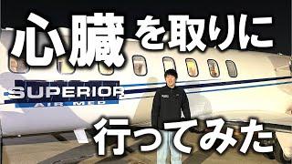 心臓移植用の心臓を本物の外科医が取りに行ってみた