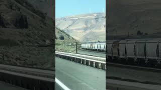 Train by the Columbia River, Oregon.  Road tripping cross country.  #60yearsold