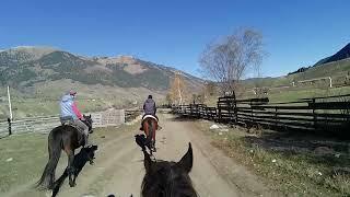 Adventures in the Altai Mountains: A Group of Riders Explores Russia's Majestic Beauty