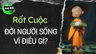 Rốt Cuộc ĐỜI NGƯỜI Sống Vì Điều Gì? Triết Lý Nhân Sinh Nghe Nhiều Nhưng Thấu Được Bao Nhiêu | ND