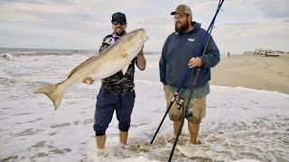 Surf Fishing in North Carolina - Giant Drum & Sharks