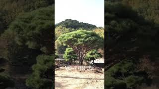 W5~7 대형 반송 010-9315-8804