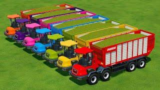 CUT SUNFLOWERS AND MAKE CHAFF WITH HOLMER FORAGE HARVESTERS AND CASE TRACTORS - FS 22