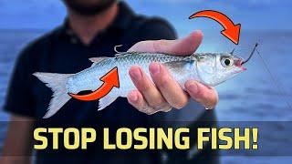 How To Hook Live Bait with Stinger Rig