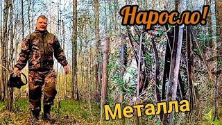 Забрал все находки и накопал ещё!