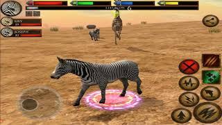 Zebra Horse Survival Simulator 3D, Ultimate Savanna Simulator, By Gluten Free Games