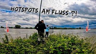 Diese HOTSPOTS liefern immer FISCH | Buhnen-Hopping wird belohnt 