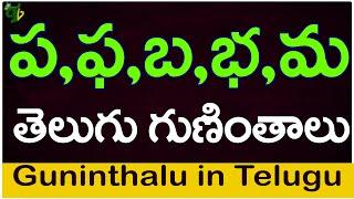 ప ఫ బ భ మ గుణింతాలు | Pa Pha Ba Bha Ma guninthalu |How to write Telugu varnamala guninthalu