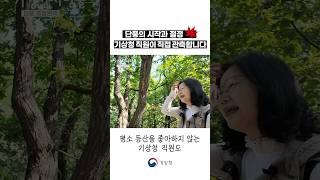 오늘(10.23) 서울 북한산에서 첫 단풍을 관측했습니다ㅣ기상청 사람들