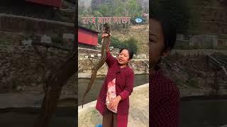 3kgs EEL Fish in Nepal #goviral #fishing #fish #fypviral #fypage #viralshort #viralvideo