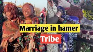 Marriage in hamer tribe #africantribe