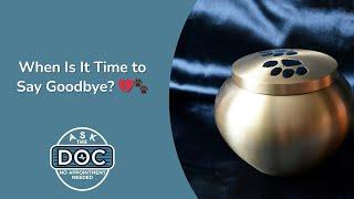 When Is It Time? Knowing When to Say Goodbye to Your Pet