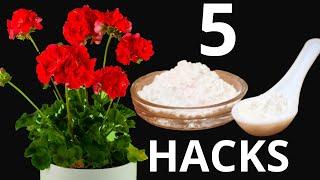 BAKING SODA IN GARDEN TOP 5 Uses of Baking Soda Hacks in Gardening and Plants