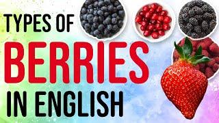 Types of Berries - Fruits In English : Berries Names