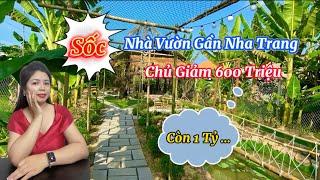 Sốc: Chủ Giảm Giá 600 Triệu Bán Nhà Vườn Thổ Cư Gần Nha Trang | Vân Nhà Đất Nha Trang