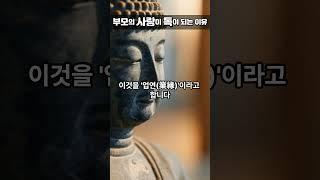 부모의 집착이 자식을 망친다 [놓아 주는 사랑의 지혜]