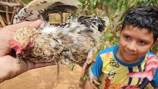 ROSIANE MOSTRA COMO FAZ MUDAS DE MAMÃO GIGANTE E CAJUEIROS