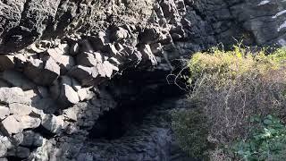 Dunedin - Otago Peninsula - Okia Reserve - Basaltic Prisms