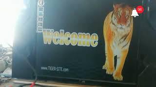 HOW TO NEW MODEL TIGER  T10 RAZER V3 FORAEWER SARWER