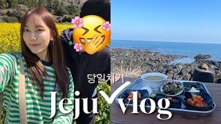 [VLOG] 제주도 당일치기 ️ | 여행 코스 이렇게만 하세요 | 제주도 맛집 관광 추천 | 제주 해녀의 집, 늘봄흑돼지, 퐁당라면, 하멜 치즈케이크 | 당일치기 여행 브이로그