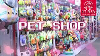 Pet Plaza | Pet Shop, Spa, Accessories, Supplies in Kolkata | Kasba