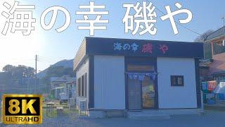 【海の幸磯や】最果ての名店 超新鮮なヤリイカ刺し【青森県中泊町】8K