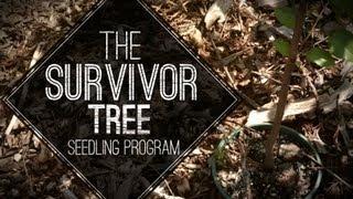 The Survivor Tree Seedling Program - Web Video - Custom Video Productions NJ