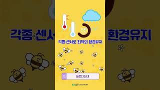 [알쓸농잡 1탄] 스마트한 벌통이 있다? #shorts