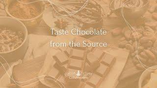 Taste Chocolate from the Source - On Demand Tasting Video