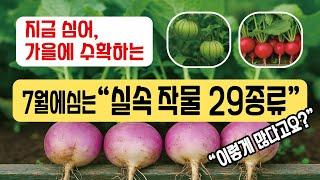 "7월에 심어, 가을에 수확하는 텃밭 채소 29가지" 이렇게 많다고요?