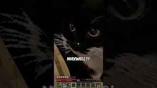 Maxwell die Katze in MINECRAFT? #minecraftshorts #lustig #maxwell