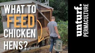 WANT EGGS? DO THIS! Feed & Treats For Egg Layin Hen Chickens - Free Range Permaculture