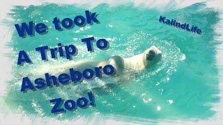 A Trip to the Asheboro North Carolina Zoo!