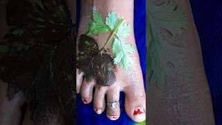 coriander leaf  shape mehndi design #mehndi #henna #shorts #trendingshort #viral