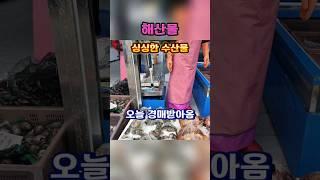 경매구입 싱싱한 수산물 ~^ 힐링여행
