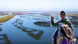 Nueces Marsh is LOADED with FISH! (Corpus Christi, TX)