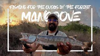 कांदळवन आणि मासेमारी ,fishing in mangrove forest in kokan vlog#45